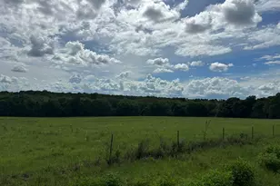 G & H County Road 20 / New Ebenezer Rd, Florala, AL 36442 - Photo 30