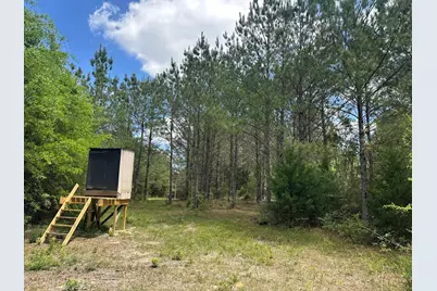 G & H County Road 20 / New Ebenezer Road, Florala, AL 36442 - Photo 44