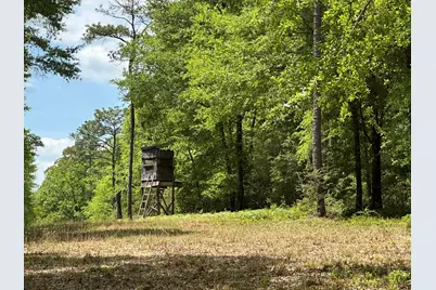 G & H County Road 20 / New Ebenezer Road, Florala, AL 36442 - Photo 46