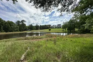 G & H County Road 20 / New Ebenezer Rd, Florala, AL 36442 - Photo 18