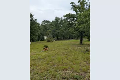 Lot 21 Co Highway 1087, Defuniak Springs, FL 32433 - Photo 2