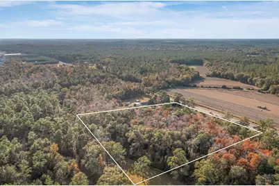 1453 Hwy 277, Chipley, FL 32428 - Photo 38