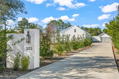 203 Carson Lane, Inlet Beach, FL 32461 - Photo 1