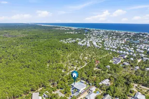 114 E Surfside Dr, Santa Rosa Beach, FL 32459 - Photo 84