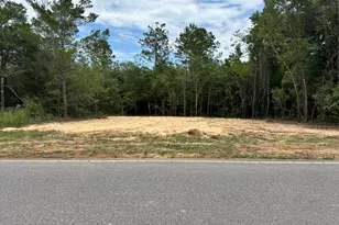 Lot 8 Trout Dr, Defuniak Springs, FL 32433 - Photo 1
