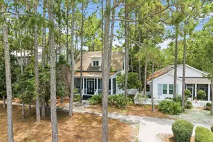 173 Cannonball Lane, Inlet Beach, FL 32461 - Photo 40