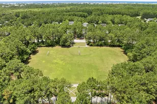 173 Cannonball Lane, Inlet Beach, FL 32461 - Photo 42