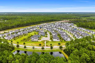 149 Windrow Way, Inlet Beach, FL 32461 - Photo 48