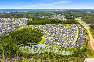 149 Windrow Way, Inlet Beach, FL 32461 - Photo 50