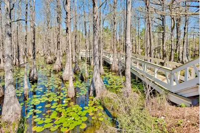 Lot 10 Cypress Drive, Santa Rosa Beach, FL 32459 - Photo 44