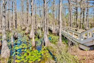 Lot 10 Cypress Dr, Santa Rosa Beach, FL 32459 - Photo 44
