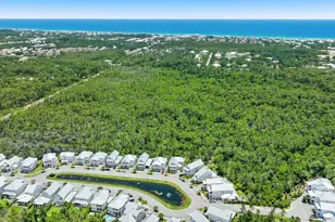 244 White Cottage Rd, Santa Rosa Beach, FL 32459 - Photo 34