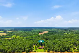 1310 Carlis Ln, Westville, FL 32464 - Photo 20