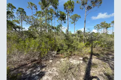 Lot A Adventure Avenue, Port Saint Joe, FL 32456 - Photo 8