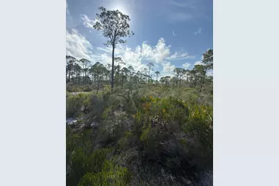 Lot A Adventure Avenue, Port Saint Joe, FL 32456 - Photo 2