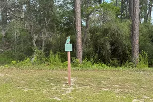 1530 Sharks Tooth Trail, Panama City Beach, FL 32413 - Photo 1