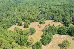 6178 Barnes Rd, Crestview, FL 32536 - Photo 12