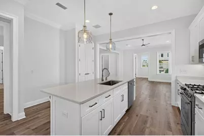 175 Suwannee Drive, Inlet Beach, FL 32461 - Photo 6