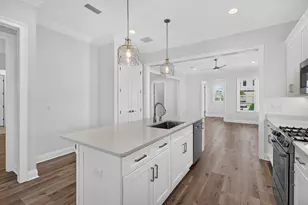 175 Suwannee Dr, Inlet Beach, FL 32461 - Photo 6