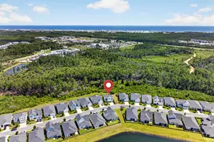175 Suwannee Dr, Inlet Beach, FL 32461 - Photo 46