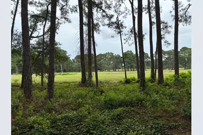 123 Old Creek Trail, Destin, FL 32541 - Photo 8