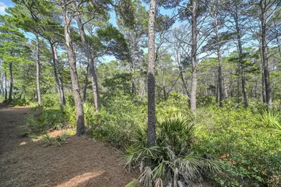 80 E Milestone Drive #UNIT A, Inlet Beach, FL 32461 - Photo 38