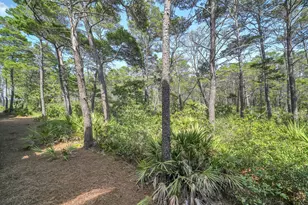 80 E Milestone Dr, Inlet Beach, FL 32461 - Photo 38