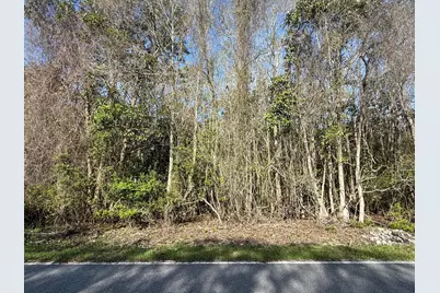 Lot 8 Marsh Avenue, Freeport, FL 32439 - Photo 12