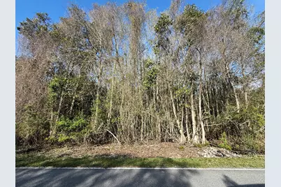 Lot 8 Marsh Avenue, Freeport, FL 32439 - Photo 24