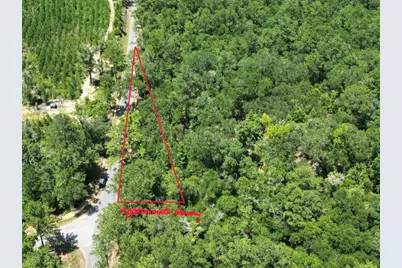 3389 Gainer Road, Chipley, FL 32428 - Photo 8