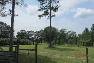 3329 Berrywood Trail, Laurel Hill, FL 32567 - Photo 28