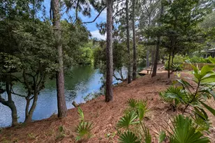 1129 Prestwick Pl, Miramar Beach, FL 32550 - Photo 6