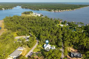234 Island Grove Dr, Freeport, FL 32439 - Photo 42