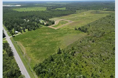 Lot 2 Hwy 71 S, Wewahitchka, FL 32465 - Photo 4