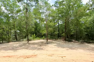 376 W Michaelangelo Rd, Defuniak Springs, FL 32433 - Photo 12
