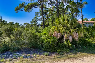 981 W Bayshore Drive, Saint George Island, FL 32328 - Photo 6
