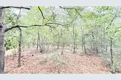 1.511 Acre W Dvorak Drive, Defuniak Springs, FL 32433 - Photo 6