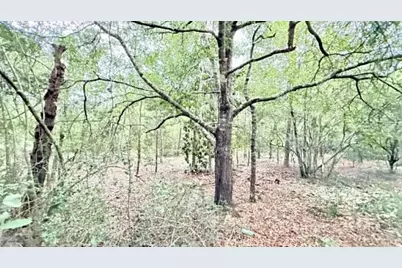 1.511 Acre W Dvorak Drive, Defuniak Springs, FL 32433 - Photo 8