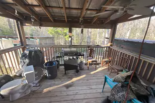 223 High Roller Soldier Rd, Wewahitchka, FL 32465 - Photo 16