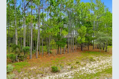 1509 Sweetbay Trail, Panama City Beach, FL 32413 - Photo 4