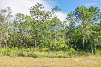 1412 Turtleback Trail, Panama City Beach, FL 32413 - Photo 6