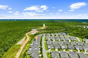 179 Windrow Way, Inlet Beach, FL 32461 - Photo 76