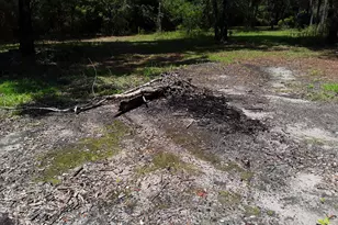 3074 King Lake Rd, Defuniak Springs, FL 32433 - Photo 44