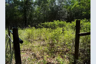 3074 King Lake Road, Defuniak Springs, FL 32433 - Photo 42