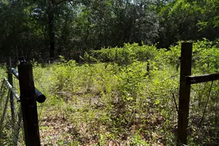 3074 King Lake Rd, Defuniak Springs, FL 32433 - Photo 42