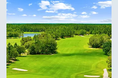 169 Windrow Way, Inlet Beach, FL 32461 - Photo 66