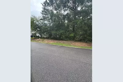 Lot 72 S J Hunter S Way, Freeport, FL 32439 - Photo 2