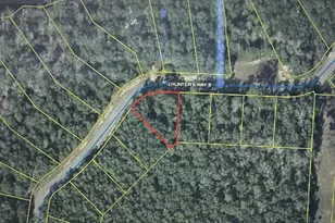Lot 72 S J Hunter S Way, Freeport, FL 32439 - Photo 1