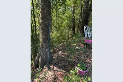 5515 E Co Highway 181, Westville, FL 32464 - Photo 24