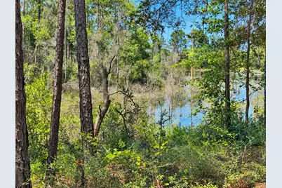 1154 Oakwood Lakes Boulevard, Defuniak Springs, FL 32433 - Photo 42